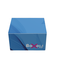 Scatola senza colla con chiusura